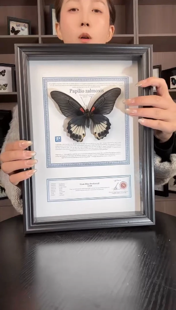 实木竖款美凤蝶（蝴蝶装饰画A4框）