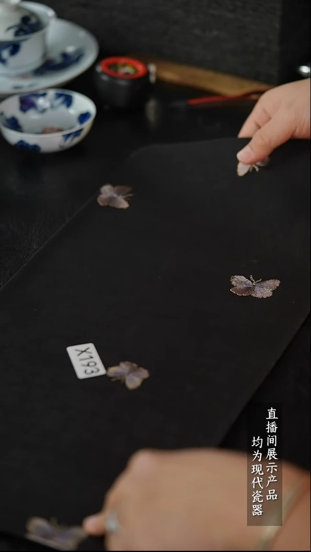 X193~~~~~~~~~~~~~~~小