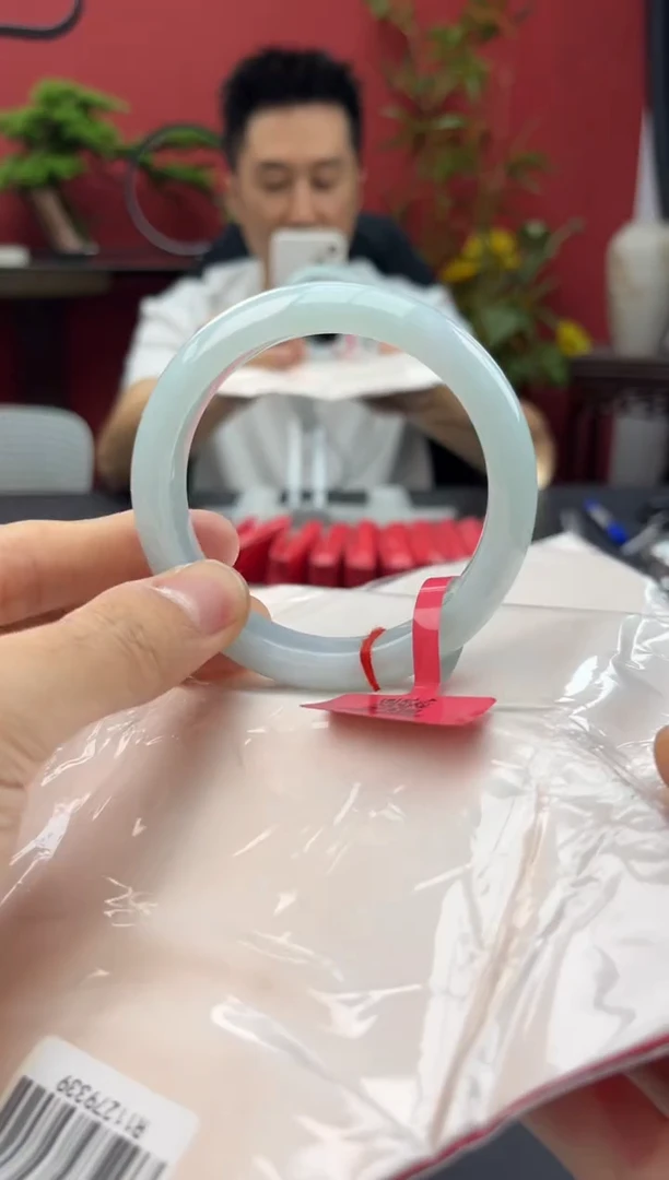 未镶嵌手镯翡翠457