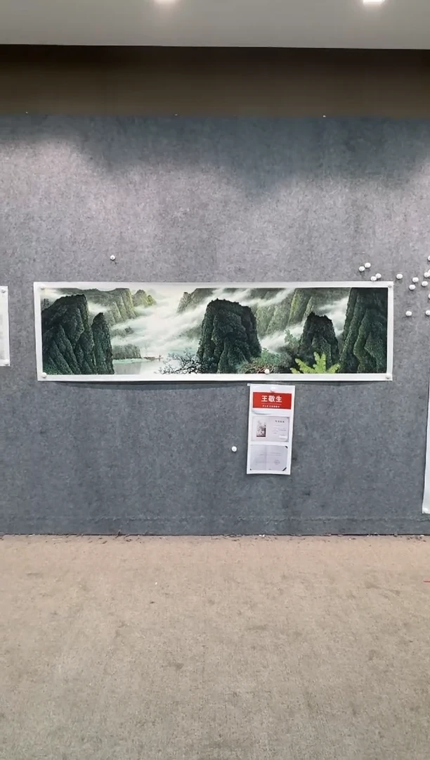 【闪购商品】国画pmw不二轩旗舰店国画WJS5