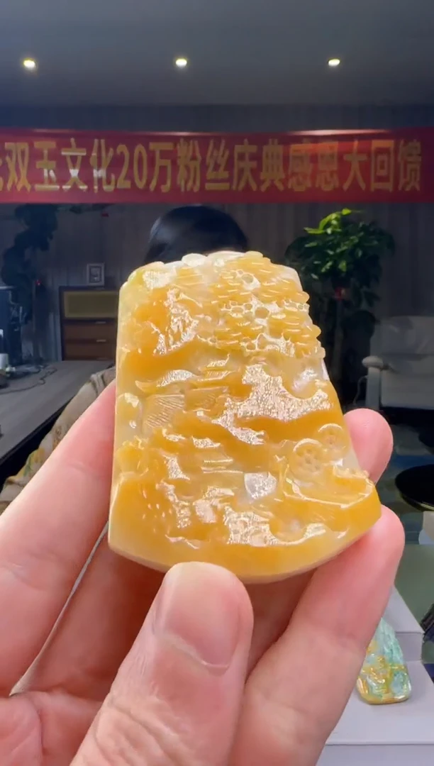 翡翠未镶嵌吊坠(不含链)DY@@960Q3J19269