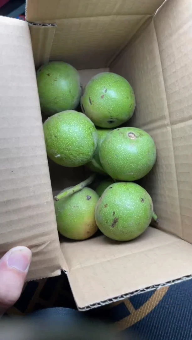 文玩核桃吊坠盘山青皮40不退不换