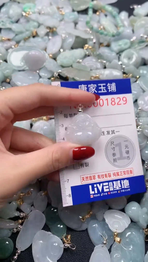 颈饰未镶嵌翡翠1829