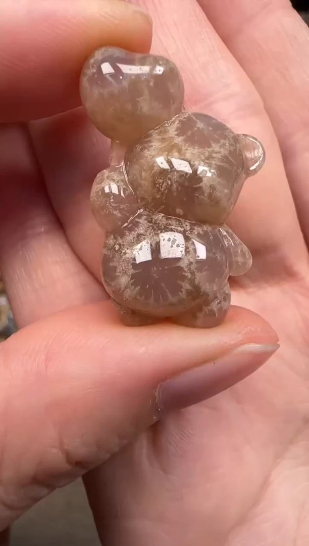 硅化珊瑚（珊瑚玉）未镶嵌颈饰538