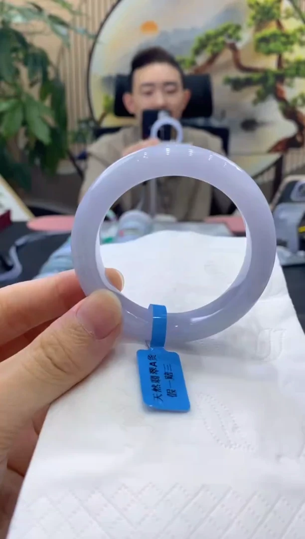 未镶嵌手镯翡翠48829