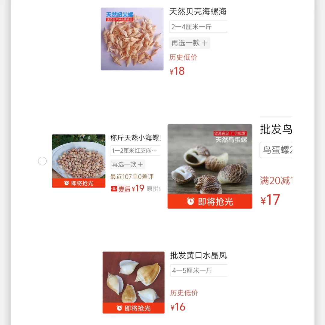 diy天然贝壳螺学生手工礼品男女统统用大海