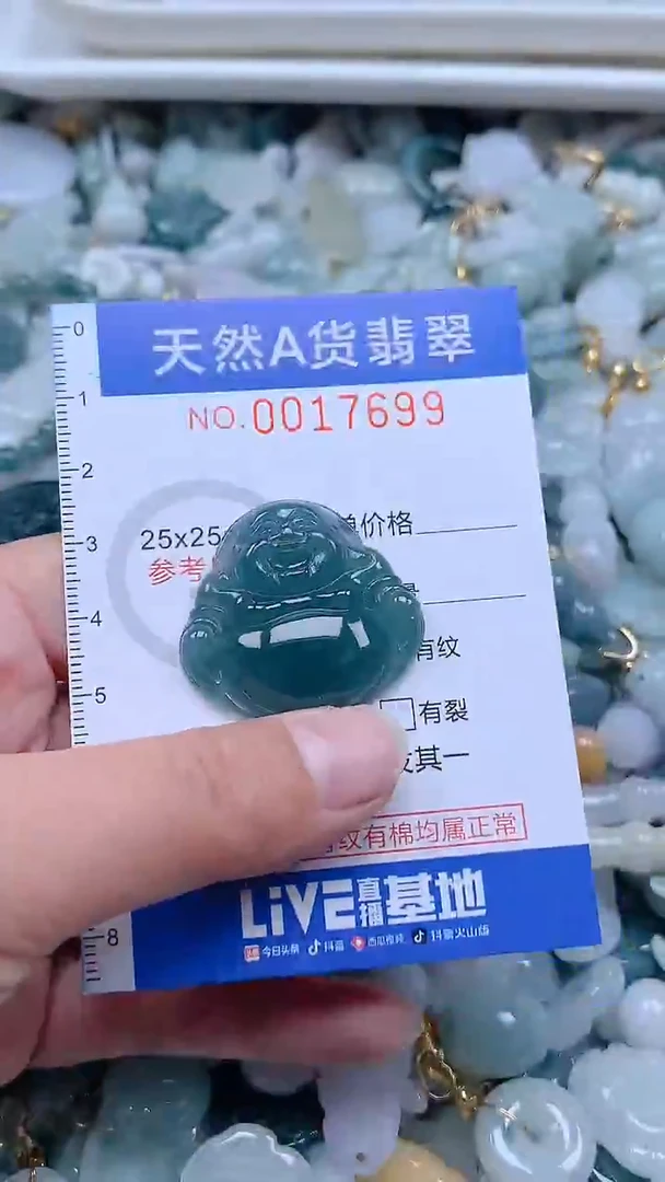 翡翠未镶嵌吊坠(不含链)1