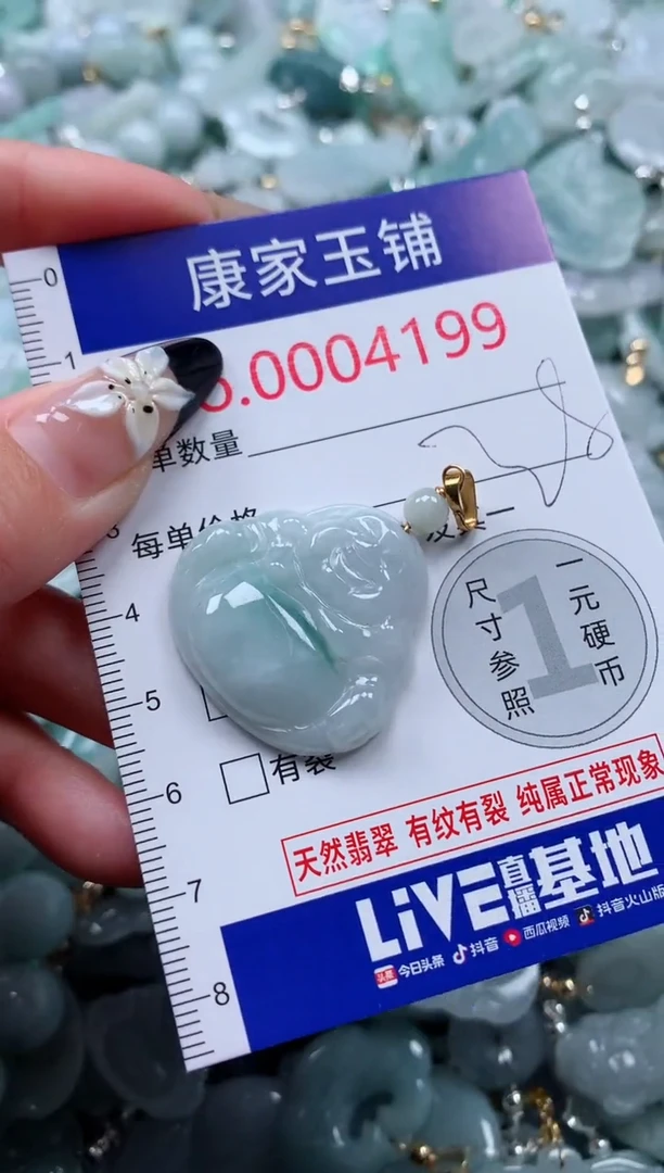 颈饰未镶嵌翡翠4199