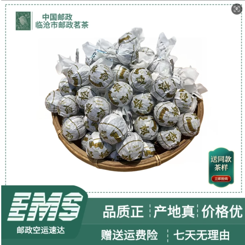 2023年头春头采原料 曼松古树龙珠 普洱生茶（7g/颗）