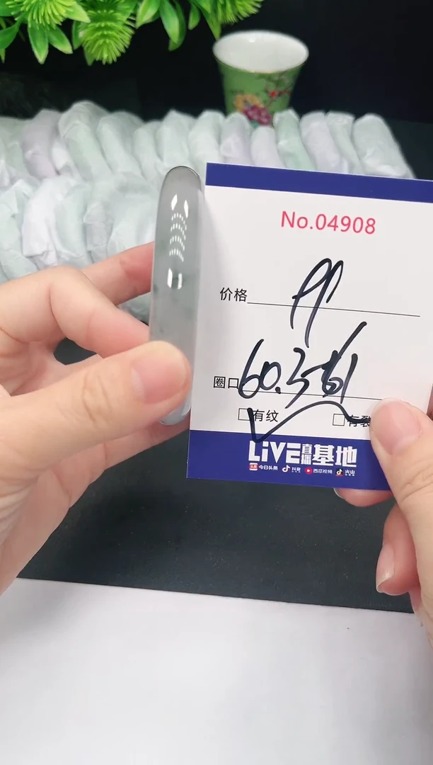 未镶嵌手镯翡翠4908