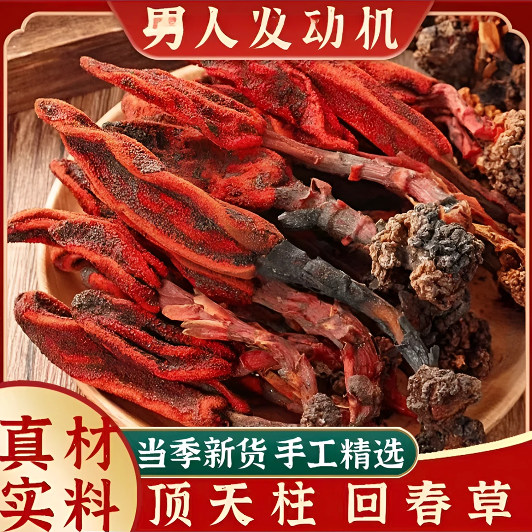 【真货无硫】野生回春草云南不老草长白山泡酒新货正品顶天住回春草