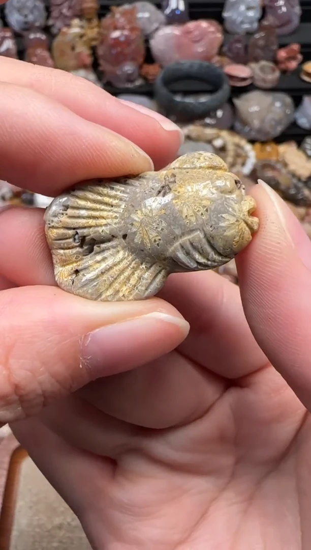 颈饰未镶嵌硅化珊瑚（珊瑚玉）070