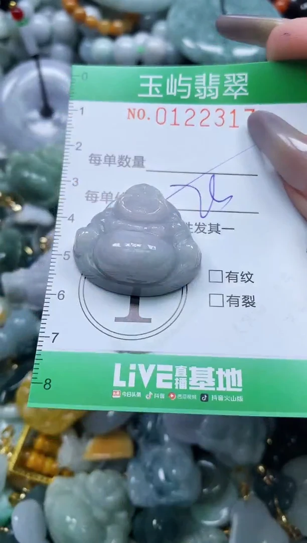 翡翠未镶嵌颈饰闪购0122317多样性发其一