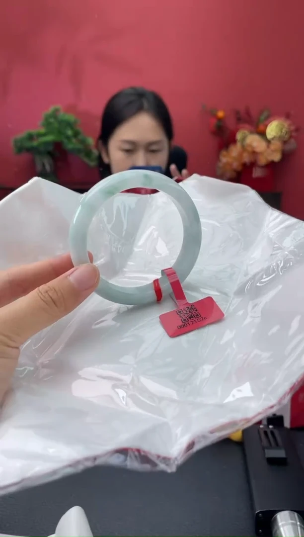 未镶嵌手镯翡翠9