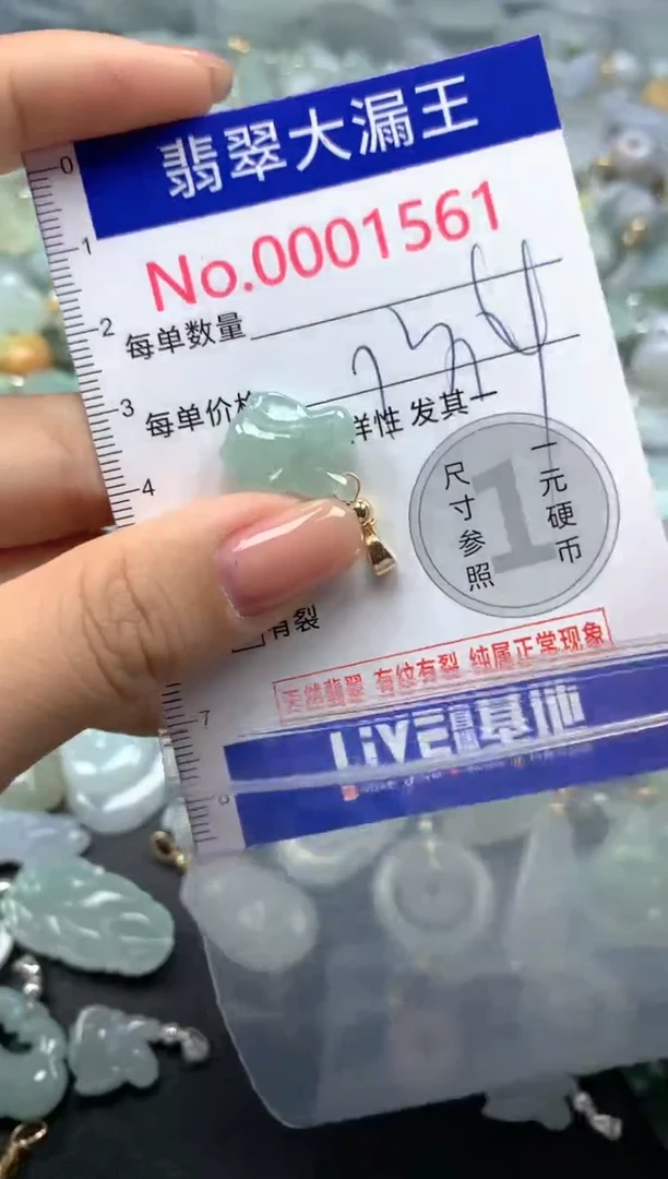 颈饰未镶嵌翡翠1561