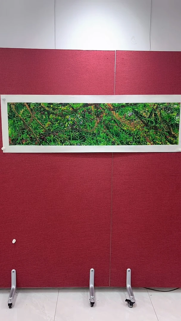 国画往**昔赵燮绘画4平尺藤萝金P