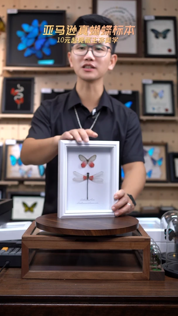 玫瑰绡眼蝶+赤基色蟌8寸欧式白框
