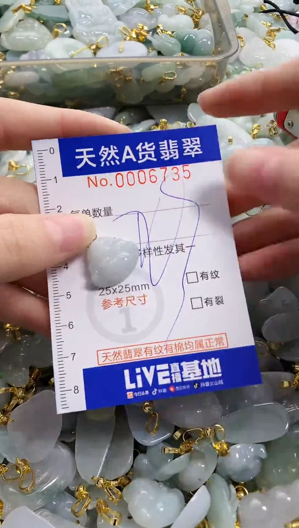 颈饰未镶嵌翡翠天然A货翡翠