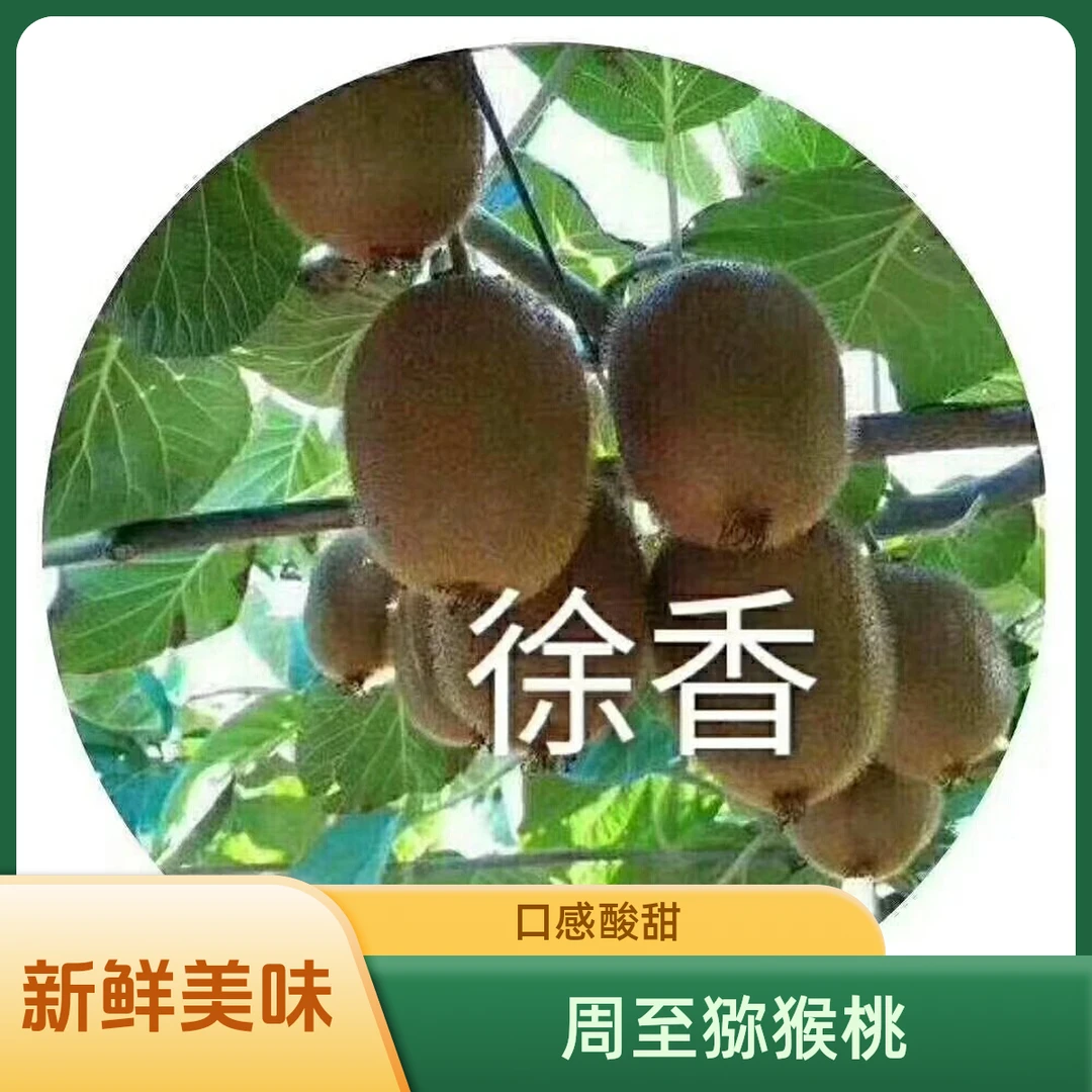 陕西周至徐香猕猴桃绿心新鲜水果香甜多汁现摘现发