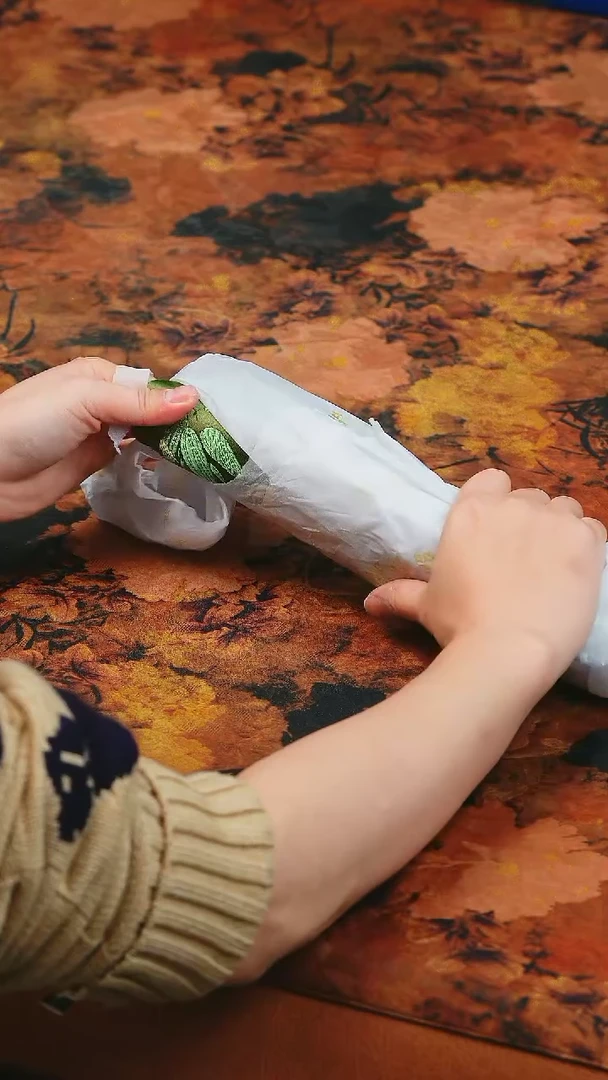 【闪购商品】雅拙茶器！！！！