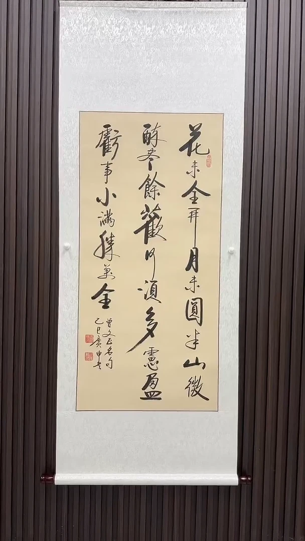 书法王广申老师书法---花未全开