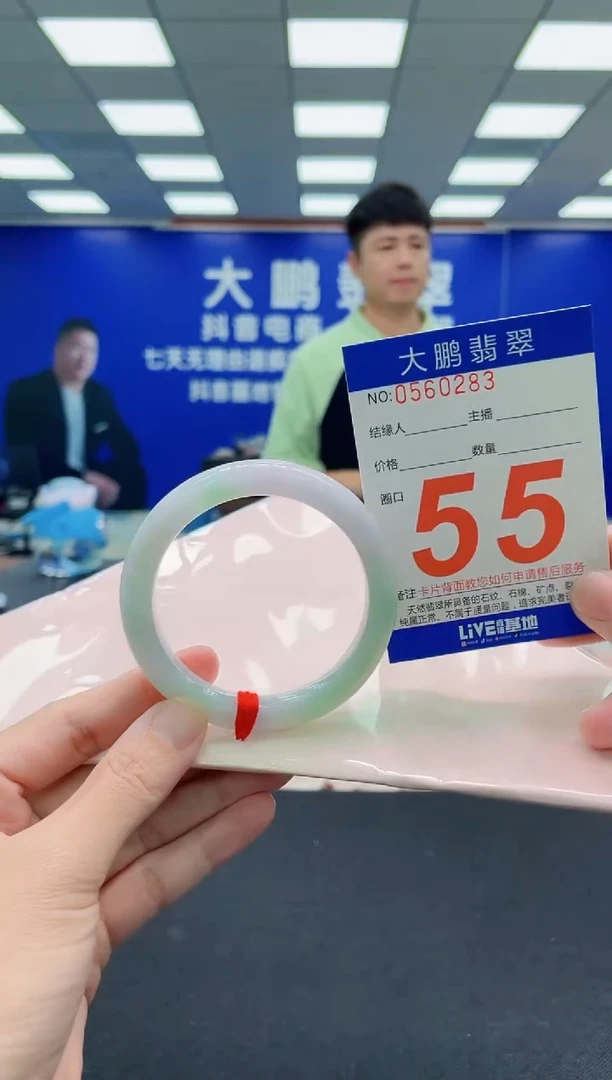 未镶嵌手镯翡翠AAAAAAAAA