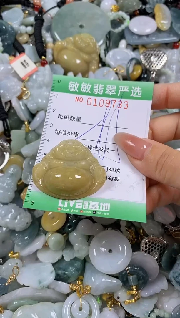 【闪购商品】翡翠颈饰未镶嵌闪购0109733多样性发其一