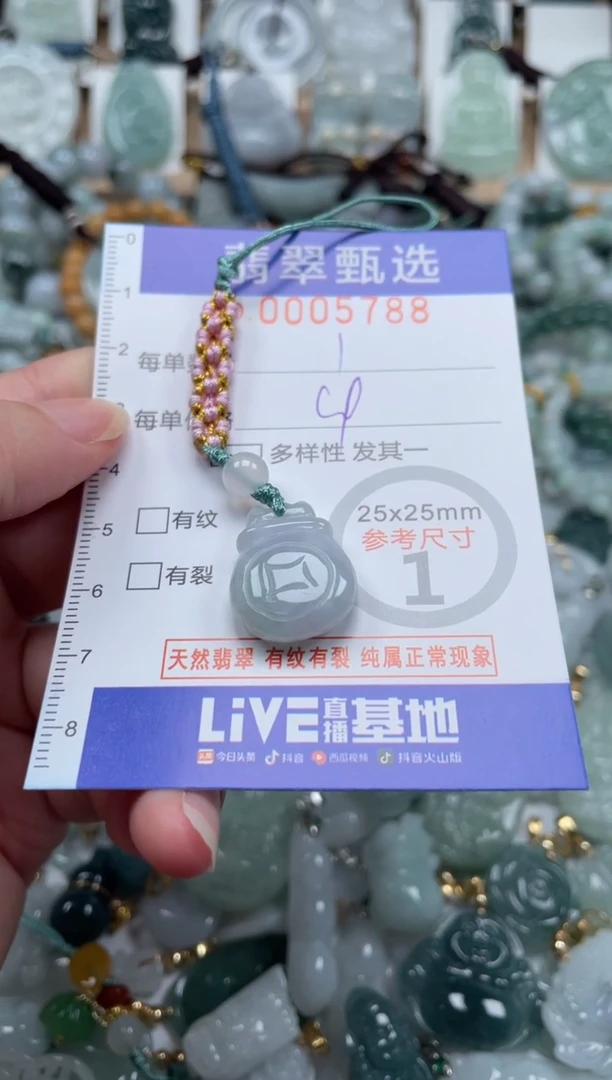 翡翠未镶嵌颈饰00..5788