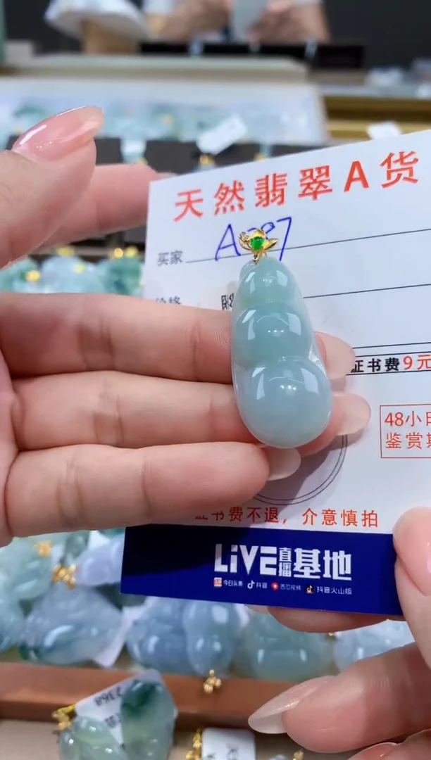 颈饰未镶嵌翡翠天然翡翠A货挂件