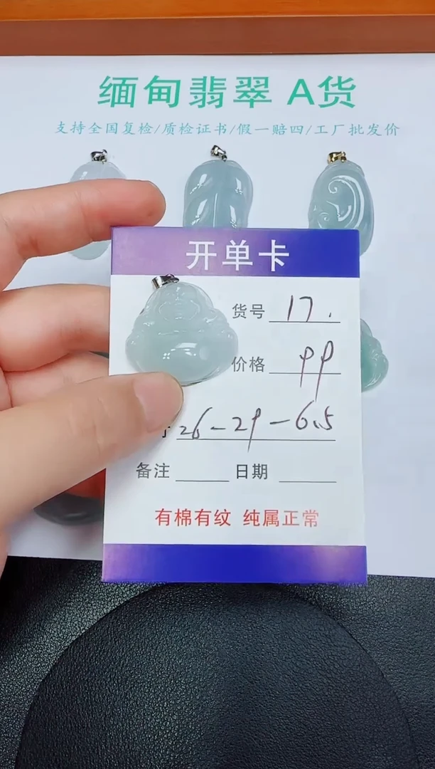 翡翠未镶嵌吊坠(赠链)17