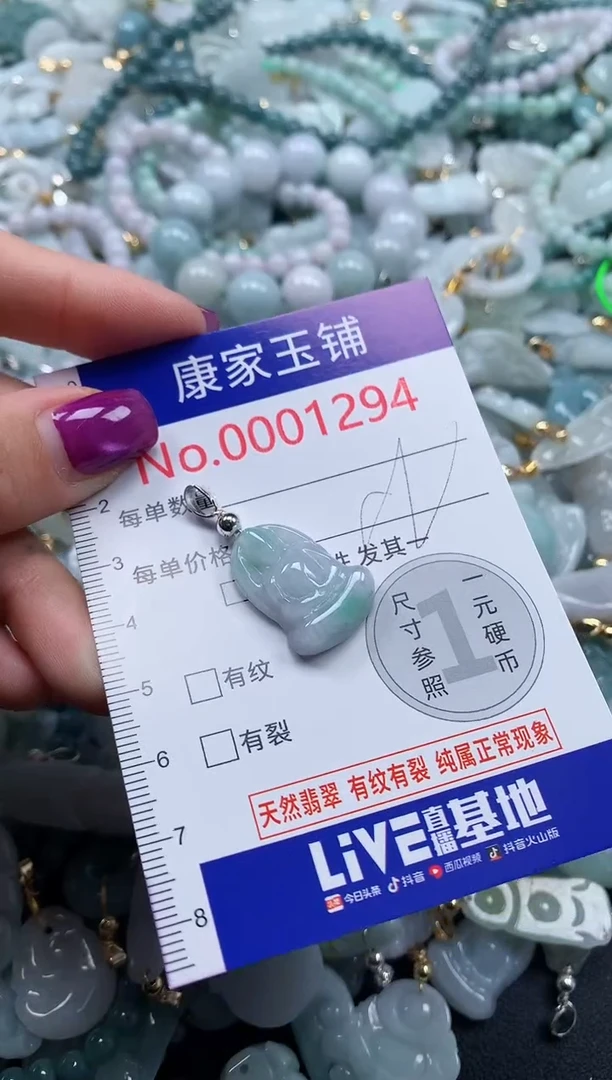 颈饰未镶嵌翡翠1294