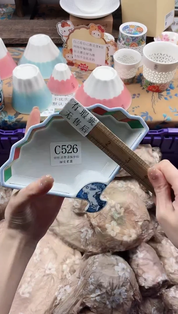 瓷片岳*                C526