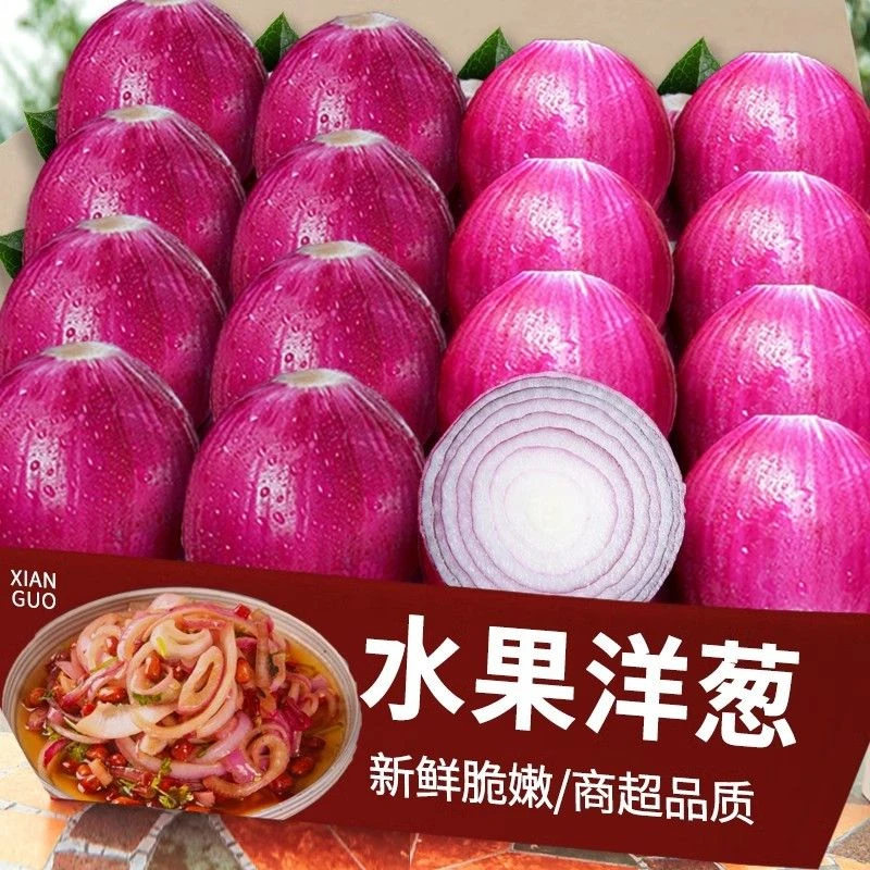 云南水果洋葱9斤净重新鲜洋葱脆甜多汁生吃凉拌食材高原蔬菜