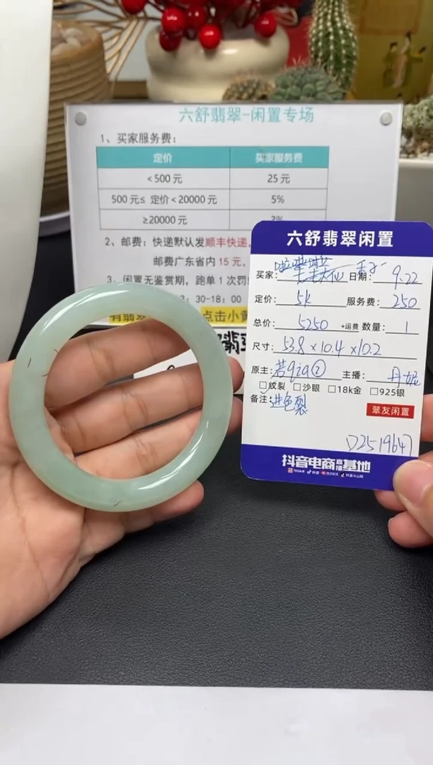 未镶嵌手镯翡翠禾**租D2519647