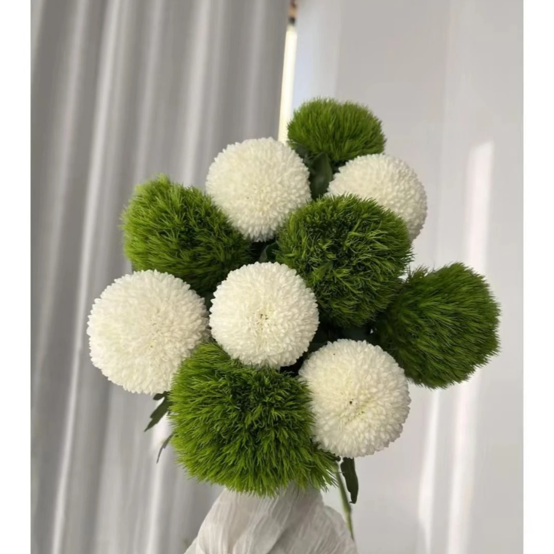 绿毛球花束插花配花家庭水养鲜切花云南顺丰包邮新鲜发货