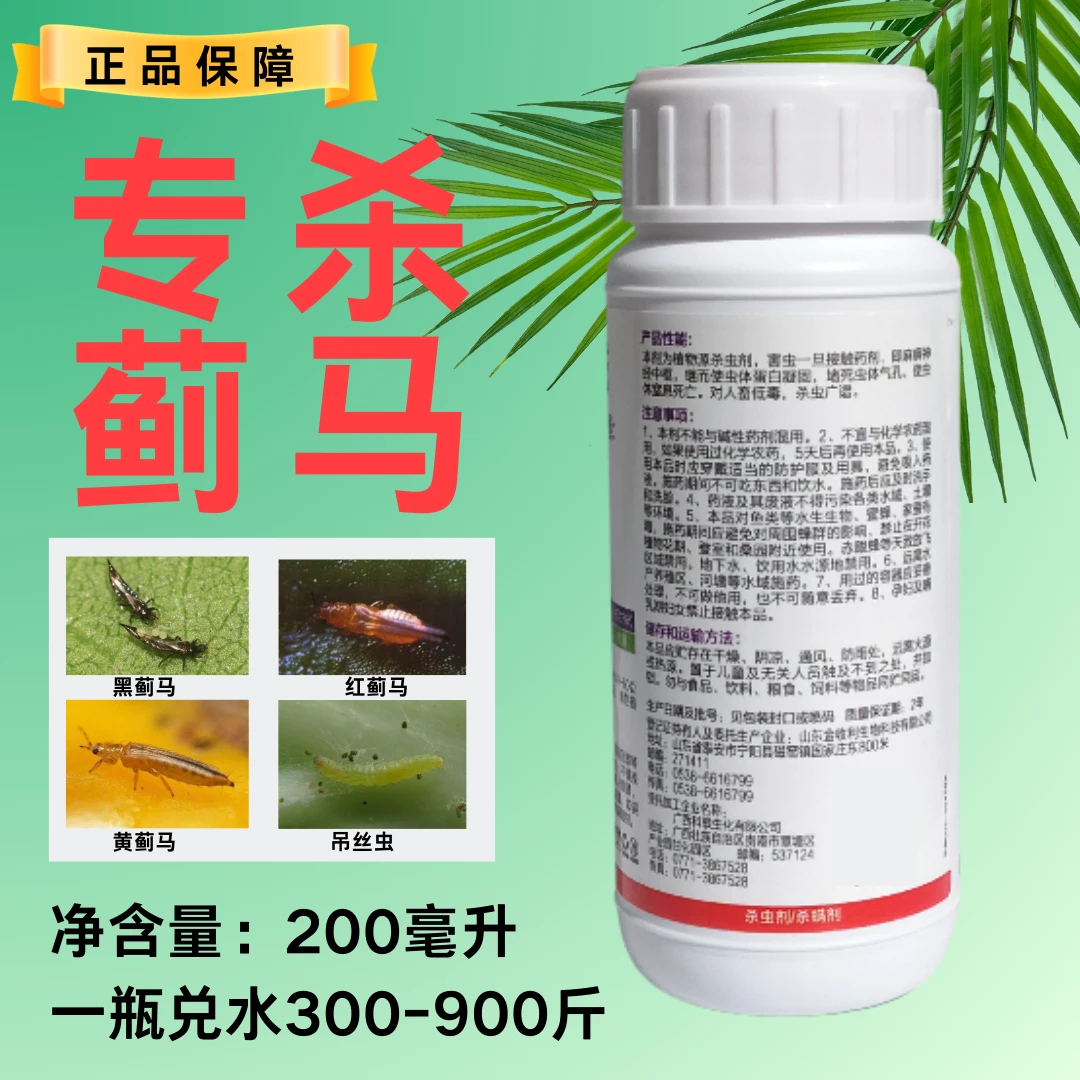 蓟马专用特效药芒果辣椒豆角红蓟马黑蓟马杀虫杀卵持续期长杀虫药