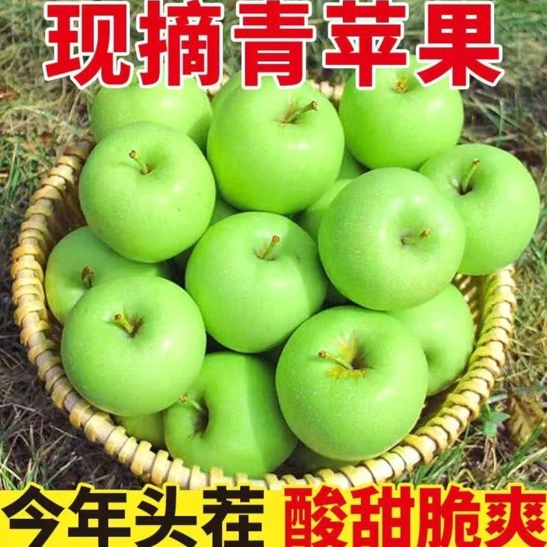 【头茬现摘】青苹果新鲜水果小青苹果应季孕妇小孩水果酸甜脆口
