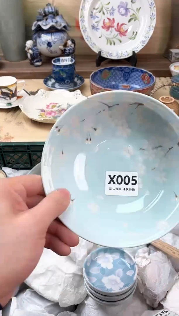 瓷片钠*005