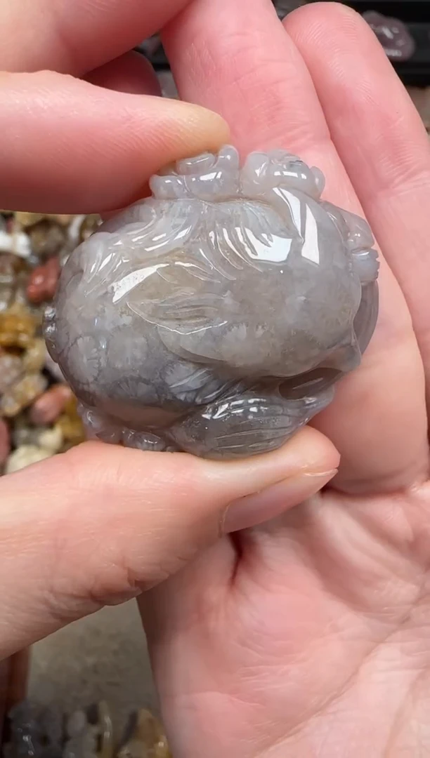 颈饰未镶嵌硅化珊瑚（珊瑚玉）846