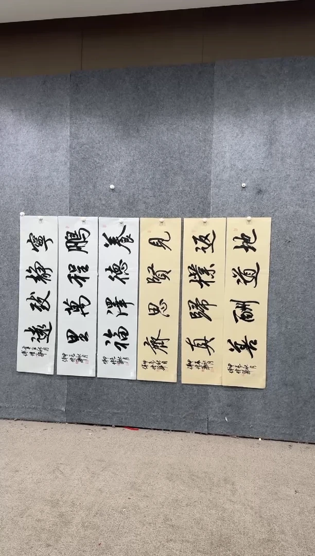 【闪购商品】书法pmw不二轩旗舰店书法FWH1