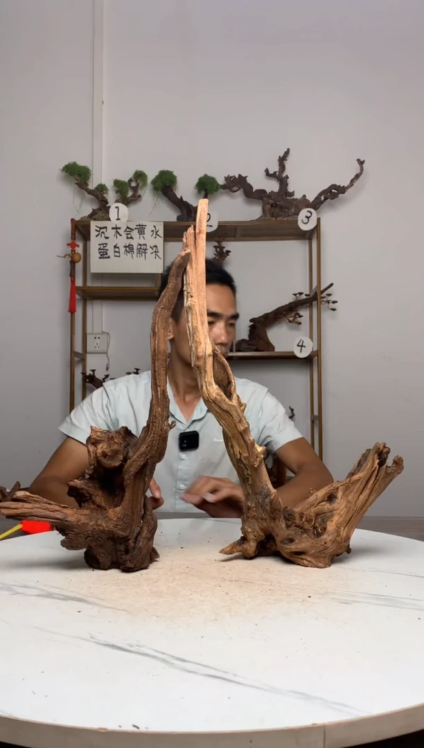 缝****界鱼缸造景沉木摆件