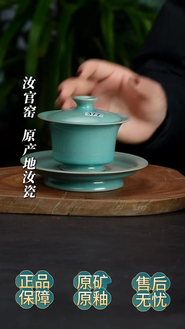 瓷片一盖碗一杯子啊啊啊