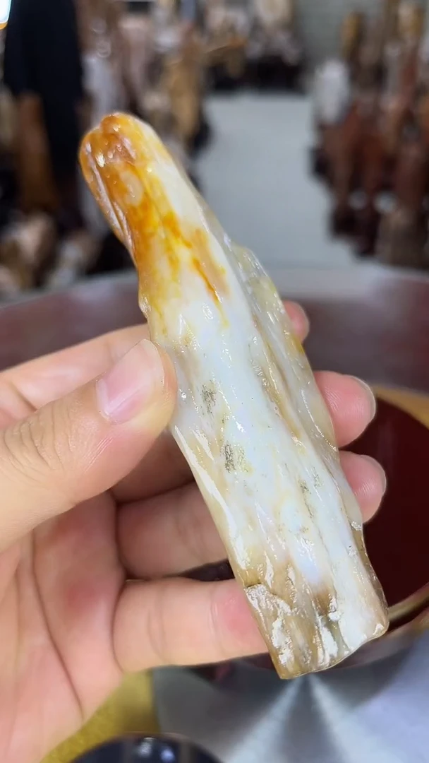 硅化玉珠宝奇石未镶嵌缅甸天然树化玉