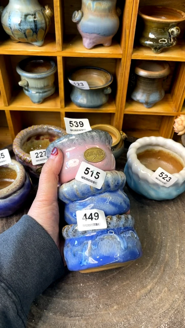 【闪购商品】陶539/515/449