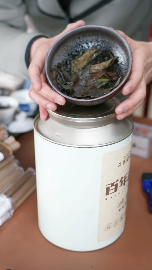 【闪购商品】阿辉迎财神 百年古树 大盏 12.5