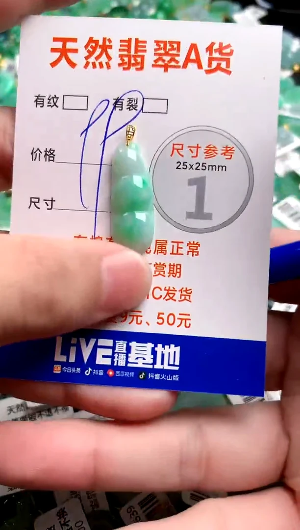 翡翠18K金镶嵌颈饰13006716