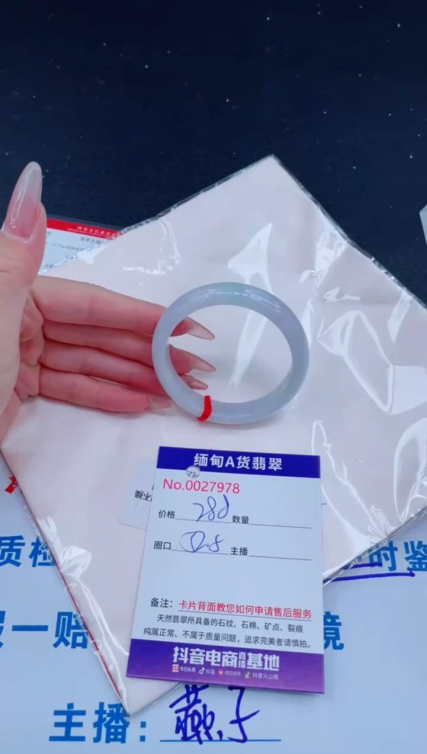未镶嵌手镯翡翠0