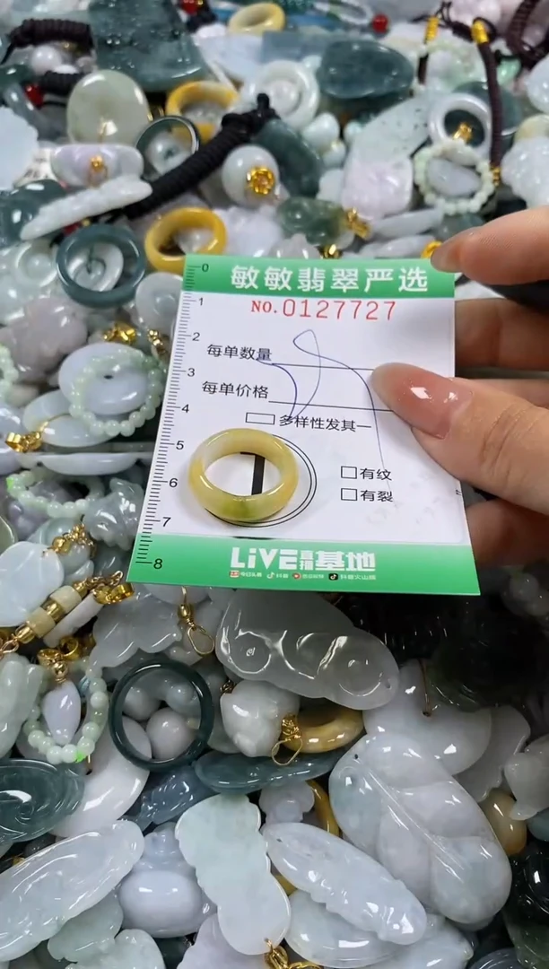 【闪购商品】翡翠颈饰未镶嵌闪购0127727