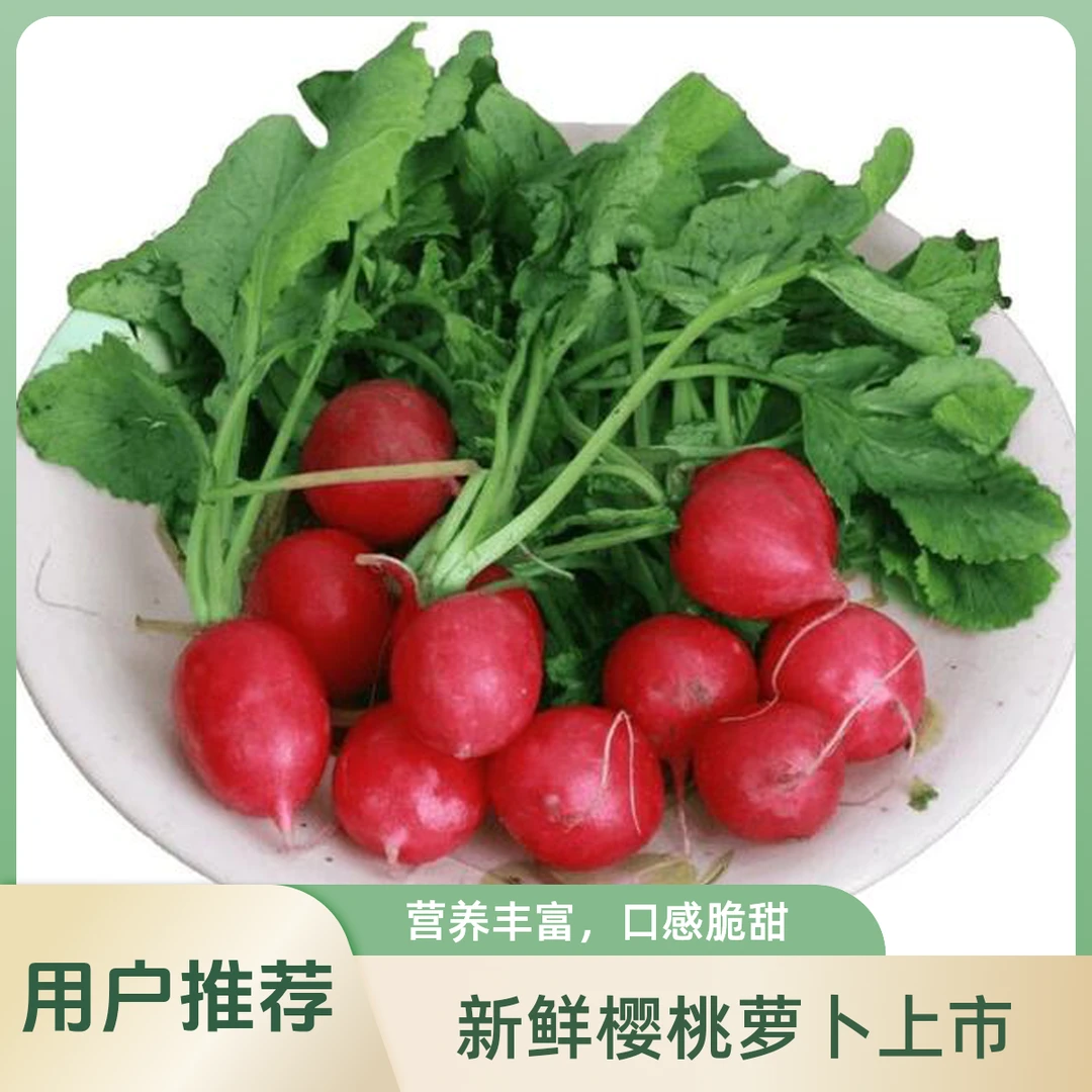 樱桃萝卜250g±25g