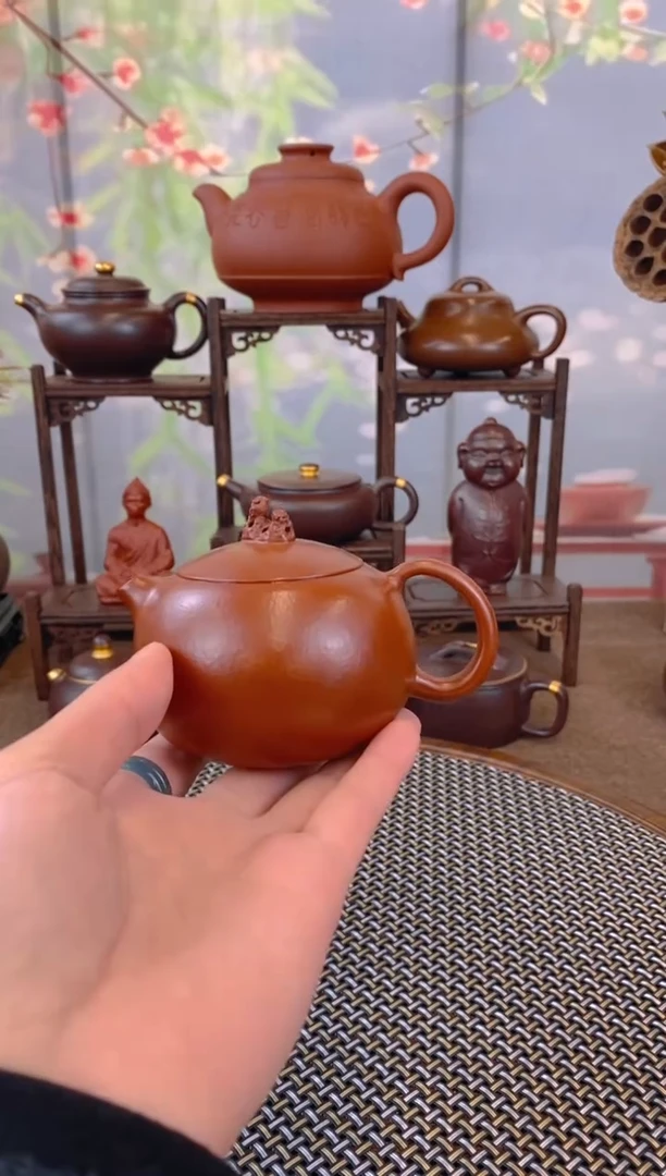 茶壶紫砂皱皮朱泥西施